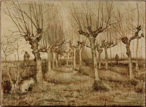 Pollard Willows